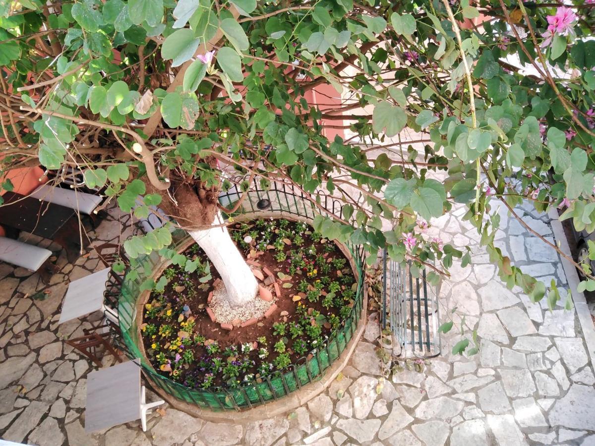 Lilliput Studio Corfu Old Town ภายนอก รูปภาพ